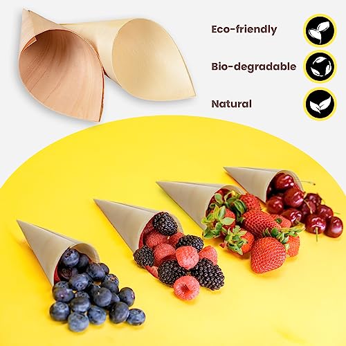 Disposable Wood Cones - Versatile Cardboard Cones for Cake Pops, Charcuterie, Food, and Crafts - Eco-Friendly and Stylish - Pack of 100 - WoodArtSupply