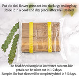 WANDIC Flower Press Kit with Instructions, A5 Tree Pattern Professional Wooden Art Kit Plant Press Book Leaves Press Kit for DIY Art Handicrafts, WANDIC