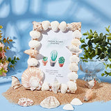 WEBEEDY Unfinished Wooden Photo Frame Craft Kit for Kids DIY Wooden Photo Frames with Stand Shell Wood Photo Picture Frames Making Kit for Kids Craf WEBEEDY