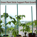 50 Pcs Plant Sticks Green Plant Stakes, Plant Support Garden Stakes for Indoor and Outdoor Plants, GAGINANG Sturdy Garden Wood Bamboo Sticks, Floral GAGINANG
