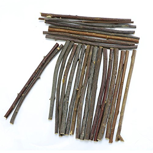 TKOnline 100Pcs 10cm 0.1-0.2 Inch in Diameter Wood Log Sticks for DIY Crafts Photo Props Craft Sticks,Wood Crafts,Sticks inch TKOnline