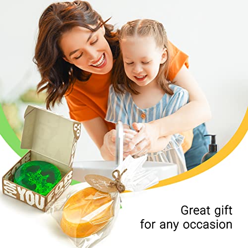 Soap Making Kit for Adults Organic - Soap Kit Making for Beginners Natural - Make Your Own Soap Kit - DIY Soap Maker Kit - Organic Soap Making Kit ALEXES