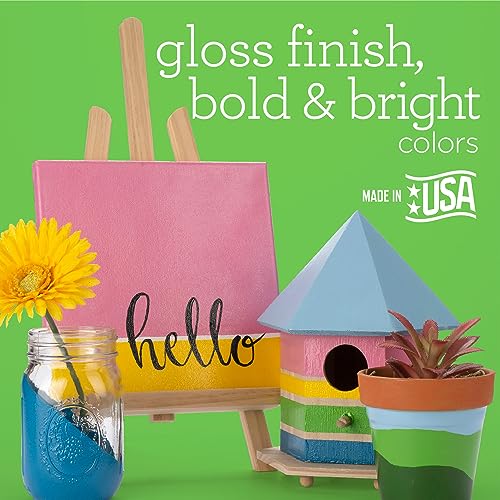 Apple Barrel Gloss Acrylic Paint in Assorted Colors (2-Ounce), 20346 Pure Pink Apple Barrel