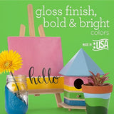 Apple Barrel Gloss Acrylic Paint in Assorted Colors (2-Ounce), 20346 Pure Pink Apple Barrel