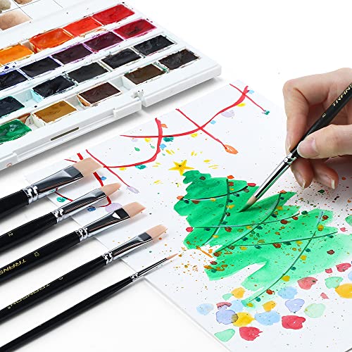Transon Paint Brush Set 6pcs Art Painting Flexible Bristle for Acrylic Watercolor Gouache Oil Leather Canvas and Face Painting TRANSON