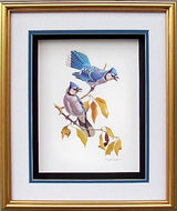 DSC Blue Jay Birds Paper Tole 3D Decoupage Craft Kit Size 8x10 inches 8062 (The Additional Pictures Show This Craft Kit Framed in a Shadow Box Frame) DSC