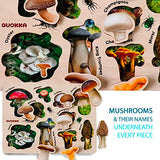 Wooden Puzzles for Toddlers 2-4 by QUOKKA – 3X Set Montessori Toys Puzzles for Kids Ages 3-5 – Wood Educational Baby Game 12-18 Months – Gift QUOKKA