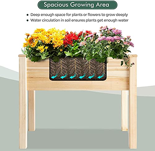 Elevated Wood Gardening Bed with Green House Cover - 36L x24W x 66H - Backyard Expressions