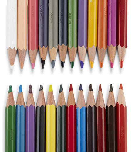 Prismacolor Col-Erase Erasable Colored Pencils, 24 Pack