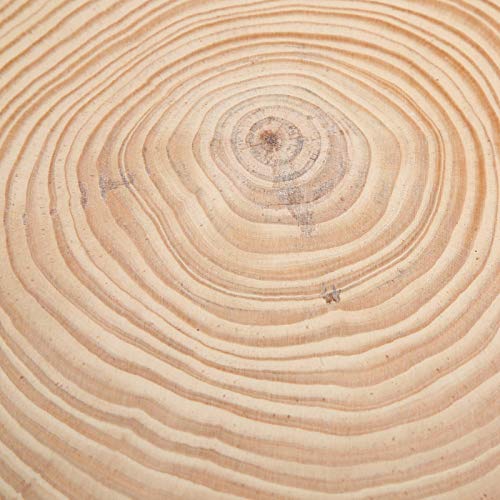 Large Natural Wood Slices, Unfinished Round Wood Discs Wooden Circles for Arts with Bark for Crafts, Centerpieces, Paintings(22.5x23) HERCHR