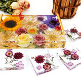 JEYUQAXY Large Silicone Tray Molds for Resin, 13.5"X9.5" Deep Rectangle Epoxy Tray Molds with 4pcs Gold & Silver Handles, Resin Table Mold for River JEYUQAXY