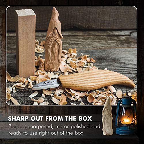 BeaverCraft Whittling Kit for Beginners, Wood Carving Kit for Beginners - Wood Carving Tools Woodworking Kit for Adults and Teens - Whittling Knife - WoodArtSupply