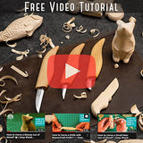 BeaverCraft Wood Carving Kit S15 Wood Whittling Kit for Beginners Kids - Wood Carving Knife Set Whittling Knife Set Wood Carving Knives Hand Wood BeaverCraft