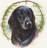 RoseArt Premium 146 Piece Art Set, Fold-out Metal Artist Case & Drawing Kit with Color Pencils, Oil Pastels, Acrylic Paints, Watercolor Cakes, Sketch RoseArt