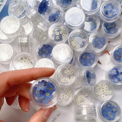 20Pcs White Forget Me Not Flowers Myosostis Sylvatica Dried Pressed Flowers for Resin,Candle,Epoxy Resin,Soap Making,Scrapbooking,DIY Art Juroicessry