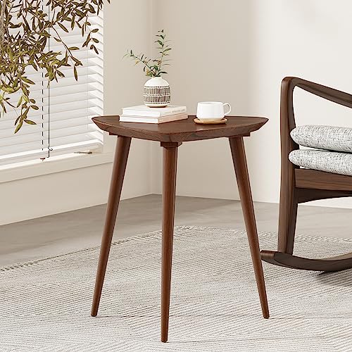 Christopher Knight Home Naja Wood End Table, Walnut Christopher Knight Home