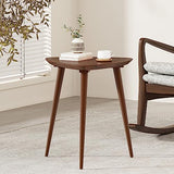 Christopher Knight Home Naja Wood End Table, Walnut Christopher Knight Home