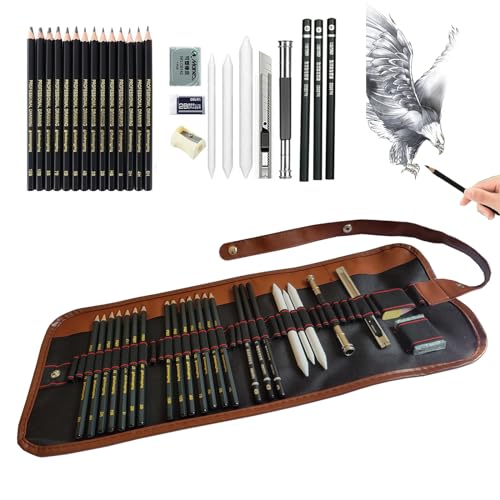 HOTCOLOR Drawing Pencils, 24pcs Art Pencil Set with Graphite Pencils Sketching Pencil Set Include 12B 10B 8B 7B 6B 5B 4B 3B 2B B HB 2H 4H 6H, HOTCOLOR