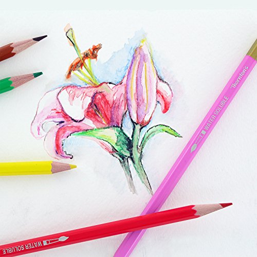 Thornton's Art Supply 36 Count Professional Hi-Quality Artist Colored Pencil Set WoodArtSupply