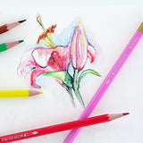 Thornton's Art Supply 36 Count Professional Hi-Quality Artist Colored Pencil Set WoodArtSupply