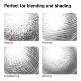 Winsor & Newton 0490025 Studio Collection, 6 Count (Pack of 1), Charcoal Pencils Winsor & Newton