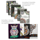 Adult Coloring Book Set | Art kit activities Mandalas, Pencils & Markers care package | Gift basket Get well soon gift, for women, men, after surgery Beyond The Box