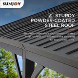 Sunjoy Carport 14 ft. x 20 ft. Outdoor Gazebo Heavy Duty Garage Car Shelter with Brown Powder-Coated Steel Roof/Black Frame and 2 Ceiling Hooks by Sunjoy