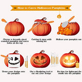 D-FantiX Halloween Pumpkin Carving Kit, 13 Pieces Professional Stainless Steel Pumpkin Carving Tools Kit with Stencils and Carrying Case - Carve D-FantiX