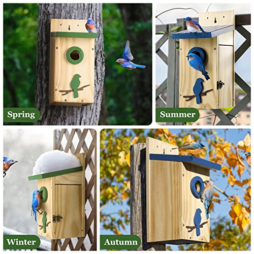 Kingsyard Classic Bird House with Prdator Guard, Bluebird Wren Chickadee Viewing House, Wooden Nesting Box for Outdoor Garden Patio, Green Kingsyard
