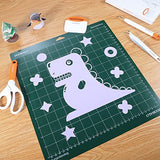 DOOHALO Brayer Roller for Cricut Vinyl Roller Tools for Crafting with Tweezers Remover Tools Set for Cricut Cameo Brother and Printmaking DOOHALO