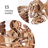 iDventure DIY Wooden Marble Run Dragon - 3D Mechanical Puzzle Kit for Adults & Teens iDventure
