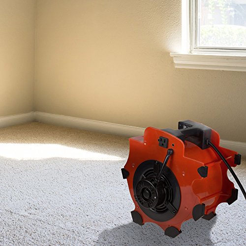 Blower Fan - 3-Speed Heavy-Duty Floor and Carpet Dryer - 1600 watts -Portable Air Mover with 4 Different Angles for Basements, Cars or Garages by Stalwart