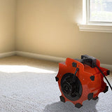 Blower Fan - 3-Speed Heavy-Duty Floor and Carpet Dryer - 1600 watts -Portable Air Mover with 4 Different Angles for Basements, Cars or Garages by Stalwart