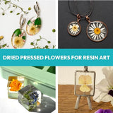 Resiners 100Pcs Dried Pressed Flowers for Resin Molds, Real Pressed Flowers Dry Leaves Kit for Art Crafts Resin Jewelry Making Scrapbook Supplies Resiners