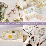 20 Bags Dried Flowers,100% Natural Dried Flowers Herbs Kit for Soap Making, DIY Candle Making,Bath - Include Rose Petals,Lavender,Don't Forget SACATR