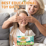 Tilhumt Montessori Screwdriver Board Set for Kids, Storage Wooden Toddler Real Tools Preschool Toys Fine Motor Skills Toys for 3 4 5 Year Old Tilhumt