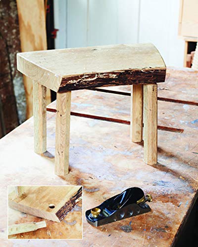 The Guide to Woodworking with Kids: Craft Projects to Develop the Lifelong Skills of Young Makers Blue Hills Press