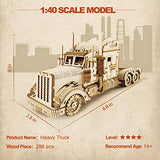 ROKR Model Car Kits Wooden 3D Puzzles Model Building Kits for Adults-Educational Brain Teaser Assembly Model for Adults to Build, Desk Decor/DIY ROKR