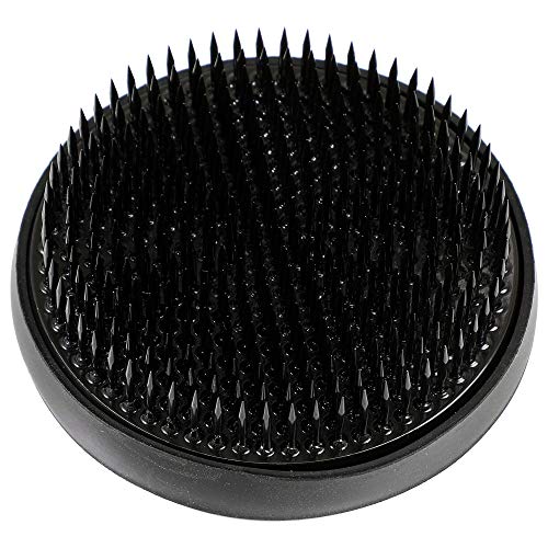 Wazakura Made in Japan Ikebana for Beginners Tool Kit. Koryu Scissors, Black Kenzan Flower Holder, Cleaner. Floral Arrangement Set, Florist Shears & Wazakura