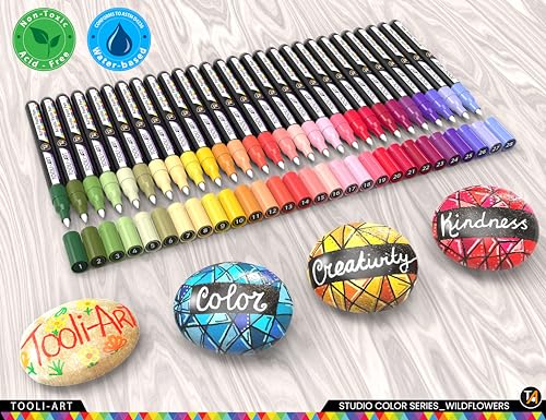 28 Wildflower Colors Acrylic Paint Pens Studio Color Series Markers Set 0.7mm Extra Fine Tip, Rock Painting, Glass, Mugs, Wood, Metal, Canvas, DIY, TOOLI-ART