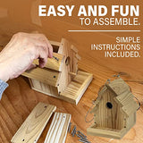 Bird House Kit for Adults and Children to Build and Paint - Easy Simple DIY Birdhouse Wood Craft Projects Bird House Tweet