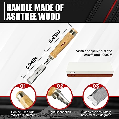 C&T 8 Pieces Premium Wood Chisel Set with Wooden Case,6 Pieces Wood Chisel with 2 Sharpening Stone,Woodworking Carving Chisel Kit,Chrome Vanadium - WoodArtSupply