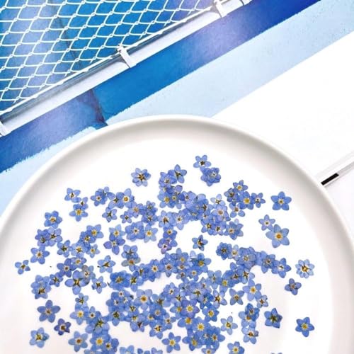 20Pcs White Forget Me Not Flowers Myosostis Sylvatica Dried Pressed Flowers for Resin,Candle,Epoxy Resin,Soap Making,Scrapbooking,DIY Art Juroicessry