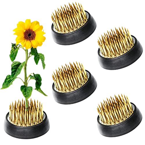 5Pcs Flower Frogs 34mm/1.34inch Diameter Japanese Ikebana Kenzan Flower Pin Frog Ikebana Flower Arrangement Holder Eggone
