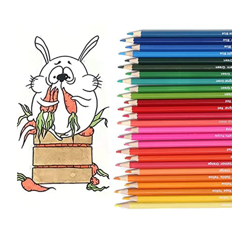 VIKAVAS 50 Colored Pencils Set with Roll Up Canvas Case for Adult Coloring Books, Drawing, Sketching, Christmas Gift for Adults&Kids VIKAVAS