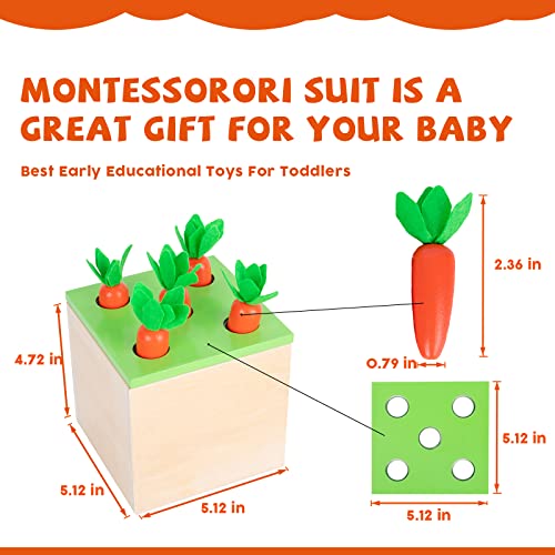 Montessori Toys for 1+ Year Old Baby Gifts,Play Kit Box Includes Carrot Harvest Games,Infant Coin Box,Fine Motor Skills Toys and Object Permanence - WoodArtSupply