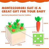 Montessori Toys for 1+ Year Old Baby Gifts,Play Kit Box Includes Carrot Harvest Games,Infant Coin Box,Fine Motor Skills Toys and Object Permanence YunHe XinQiao Toys Factory