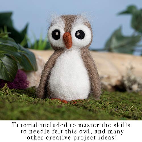 Complete Needle Felting Craft Starter Kit for Beginners, Premium Tools and Supplies, 17 Colors Wool, 15 Needles Color Coded, Sharps Container, Pad, Desert Breeze Distributing