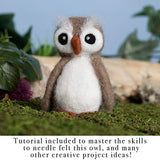 Complete Needle Felting Craft Starter Kit for Beginners, Premium Tools and Supplies, 17 Colors Wool, 15 Needles Color Coded, Sharps Container, Pad, Desert Breeze Distributing