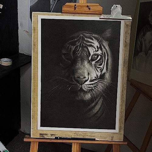 PANDAFLY Eraser Pencil Set - 6pc Eraser Pencils and 2pc Sharpener, Erasing Small Details or add Highlights for Sketching, Charcoal Drawings. Art PANDAFLY